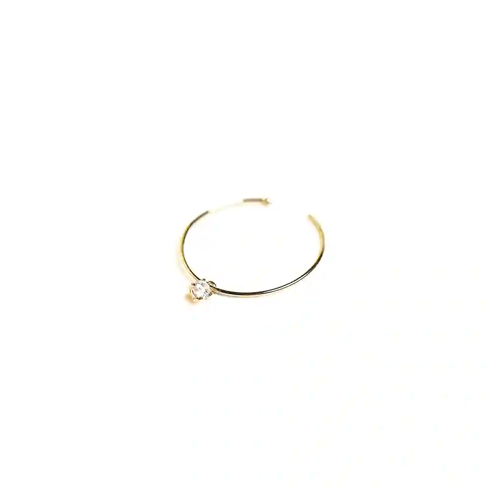 Single Earring / 2626610