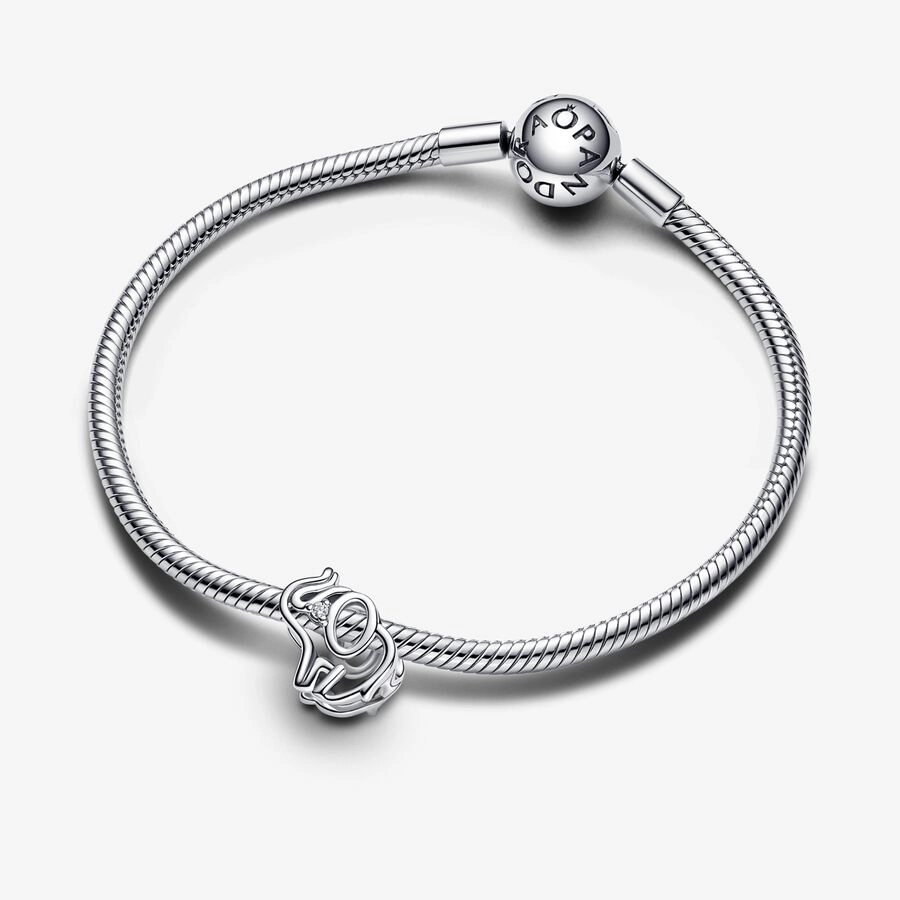 PANDORA Sterling Silver Charm / 793345C01