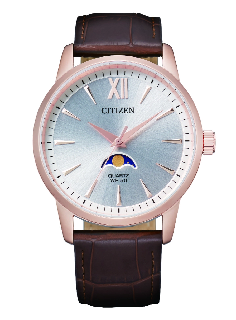 Quartz Wristwatch/AK5003-05A