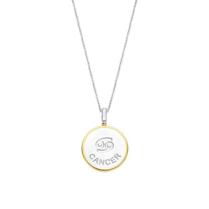 Ti Sento Sterling Silver Necklace/6826CA