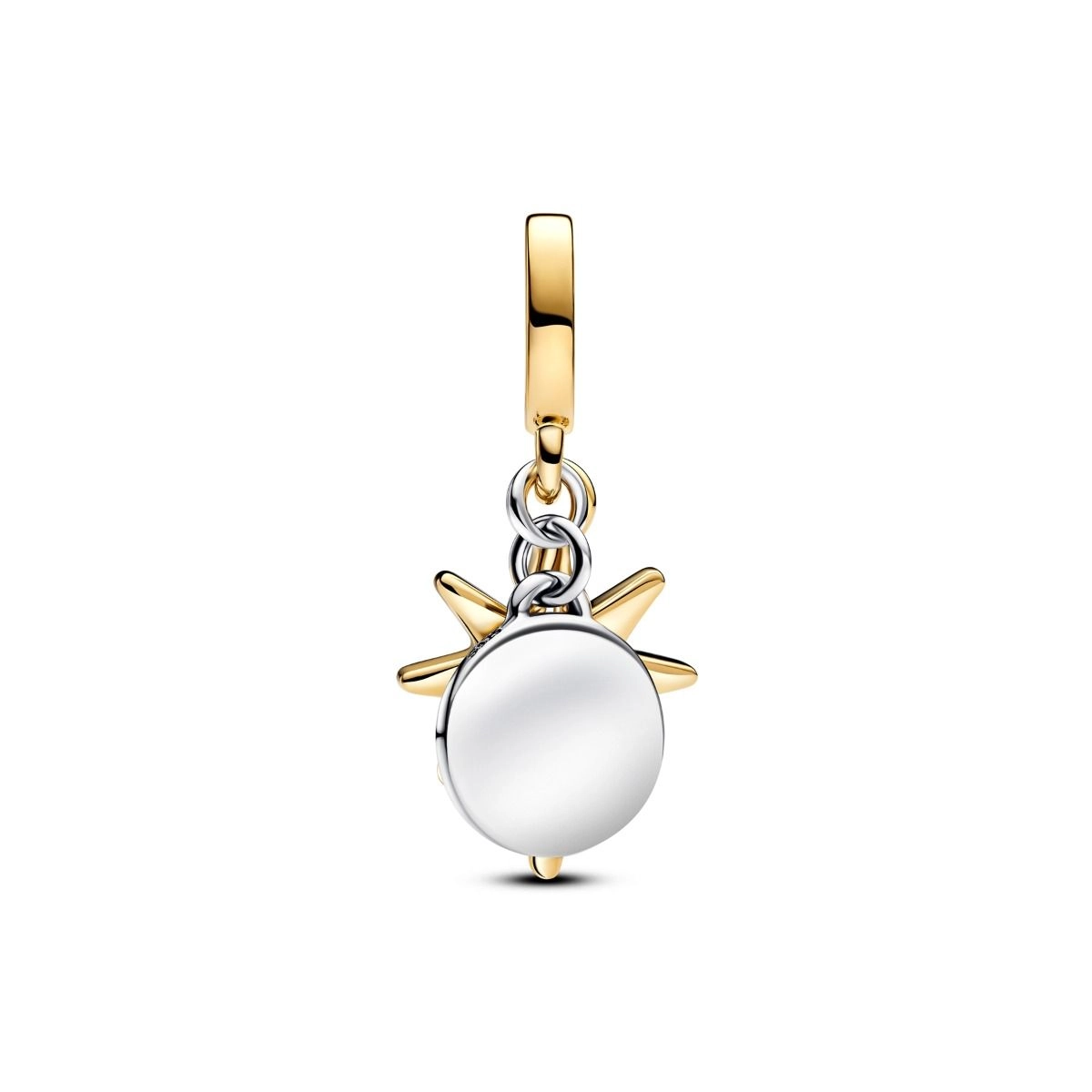 Pandora Moments Charm / 763588C01