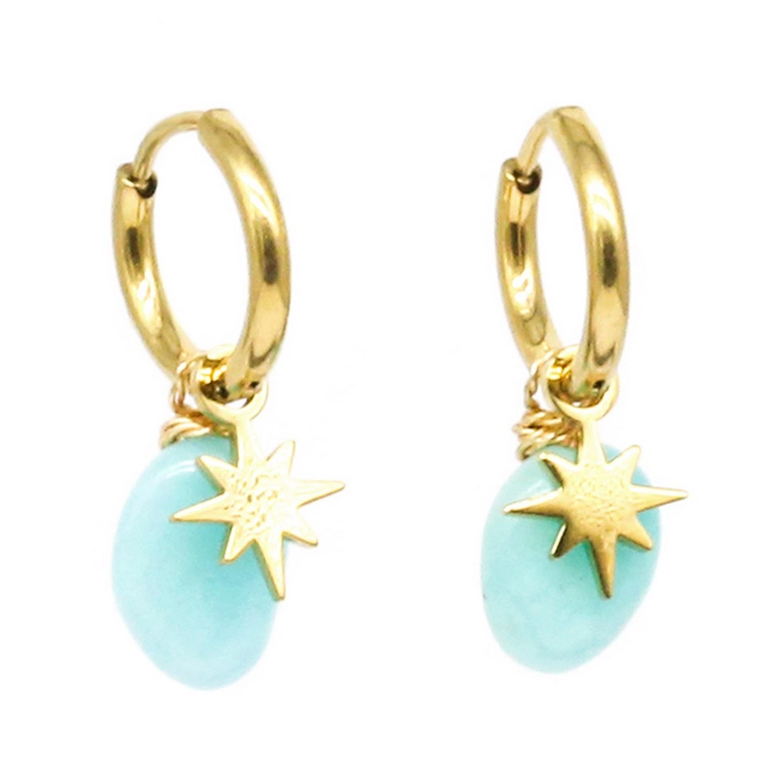 Earring / SEC10950-01AQU