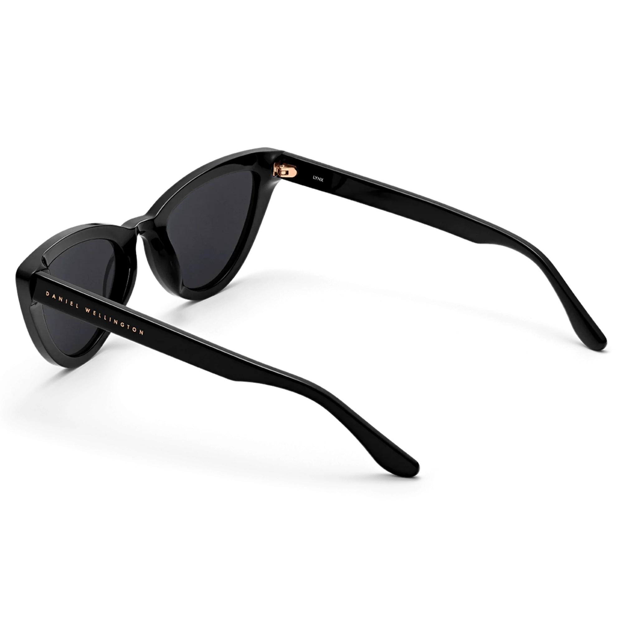 Sunglasses / DW01100027