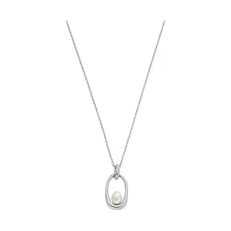 Skagen Stainless Steel Necklace/SKJ1796040