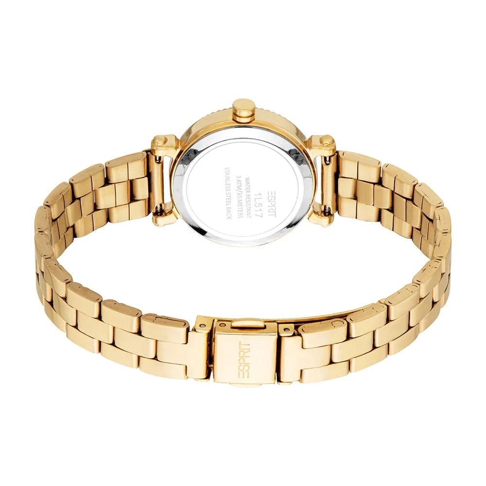 Quartz Wristwatch / ES1L517M0055