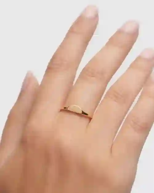 Ring/AN01-C48-14