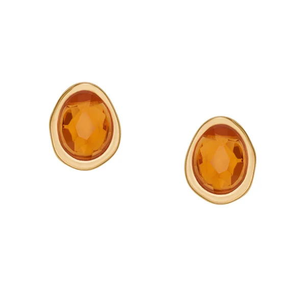 Skagen Stainless Steel Earring/SKJ1739710