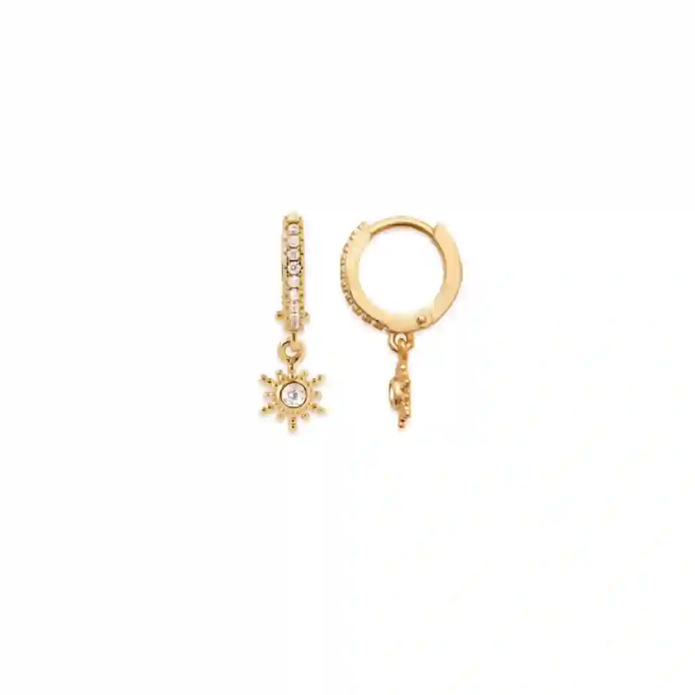 Earring/2638010