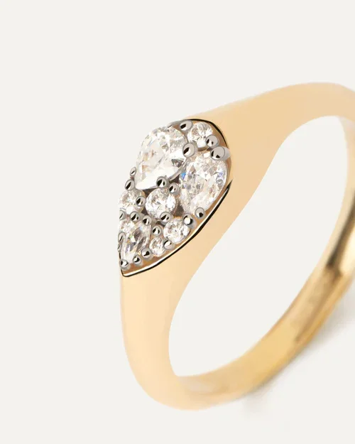 Ring/AN01-A51-14