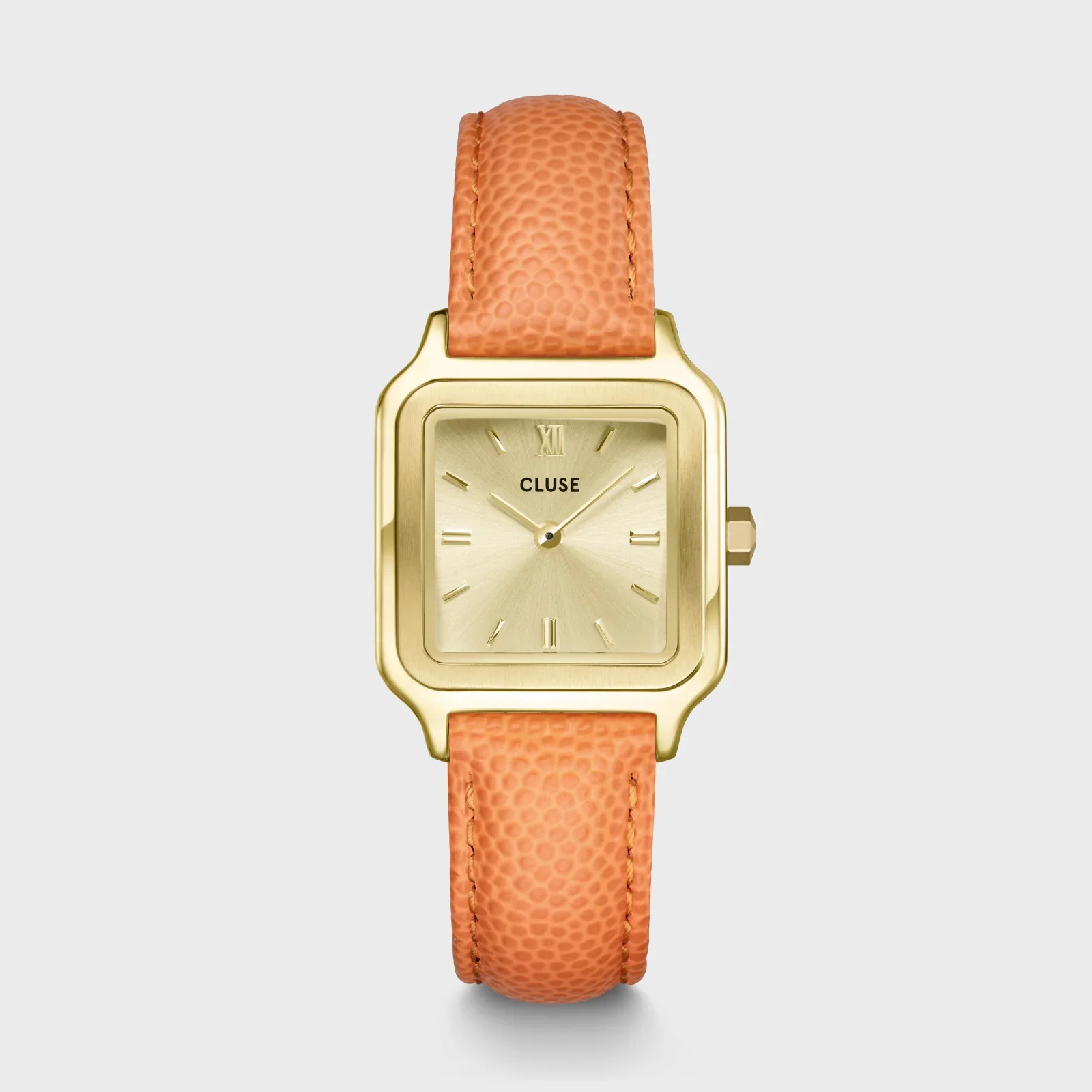 Cluse Quartz Watch Women/CW11808