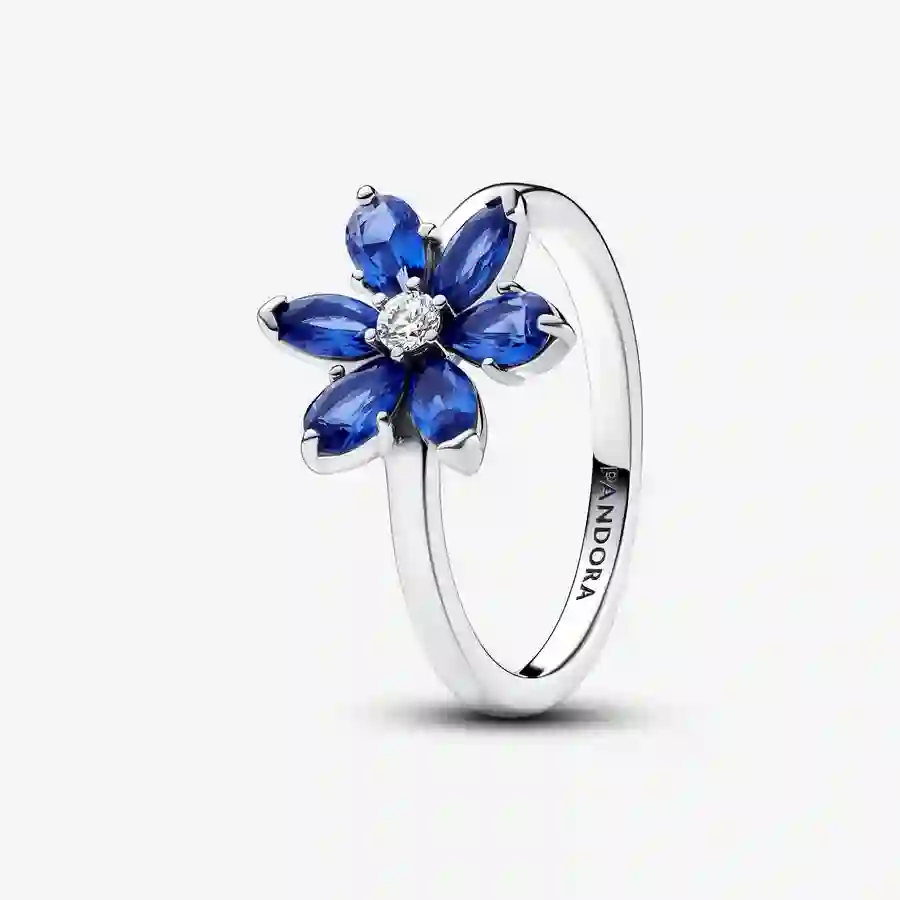 Ring/193000C01-56