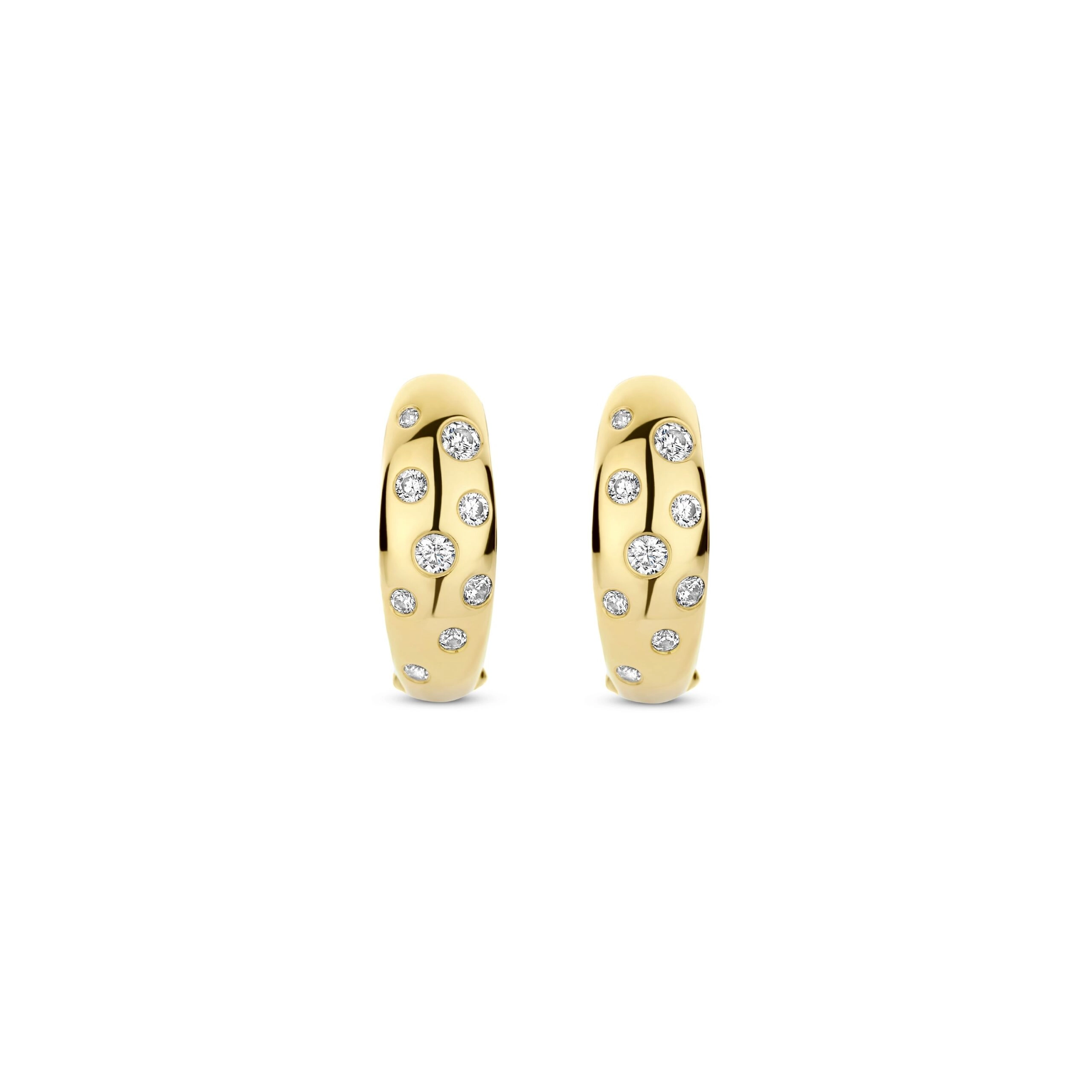 Earring / 78006ZY