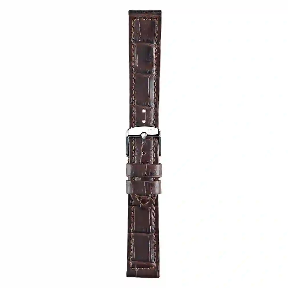 Watch strap/A01U2226480032CR22