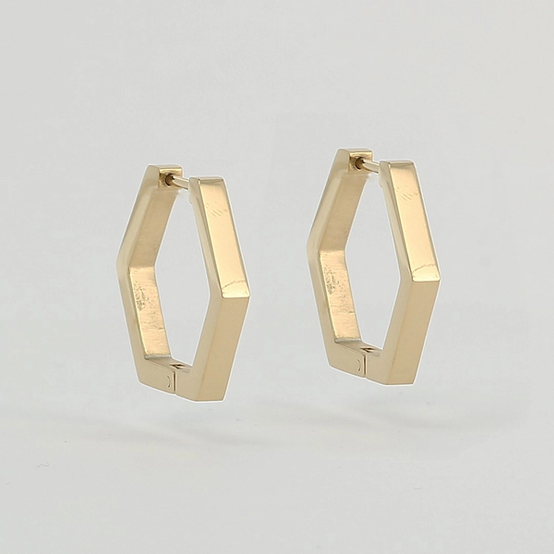 Zag Bijoux Surgical Stainless Steel Earring / SEC13932-01UNI