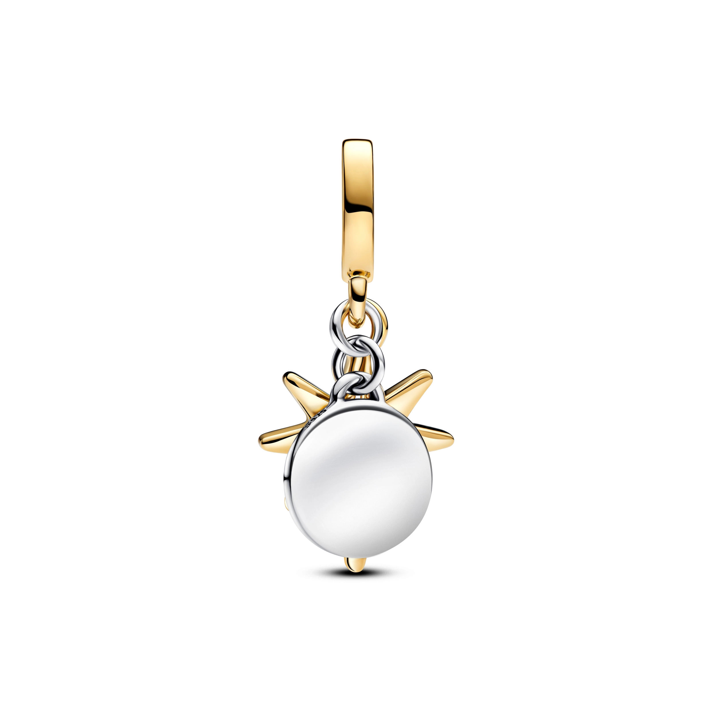 Pandora Moments Charm / 763588C01