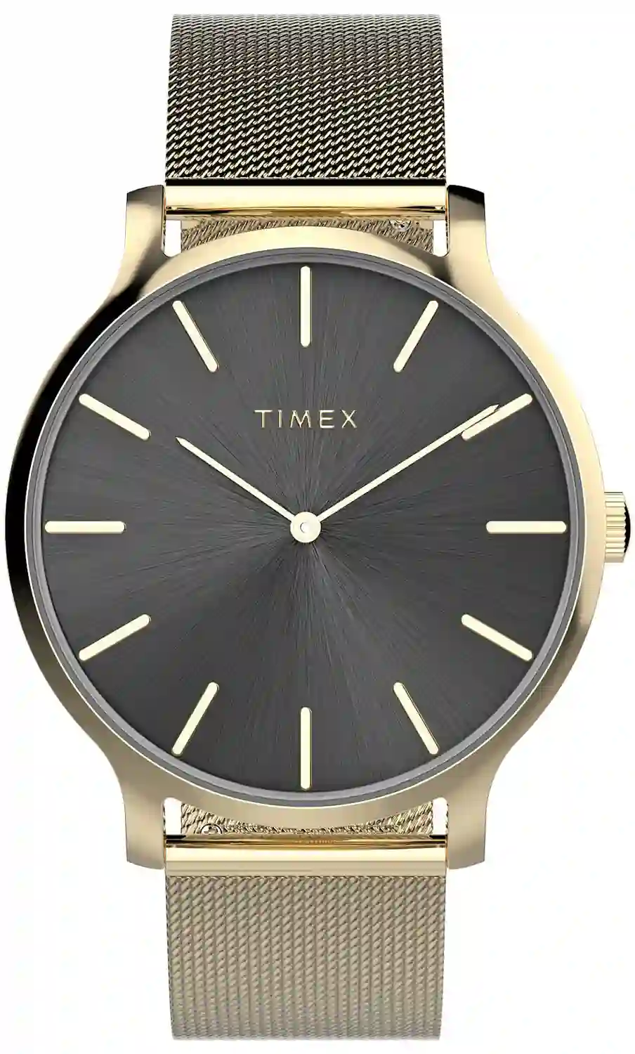 Quartz Wristwatch/TW2W19700