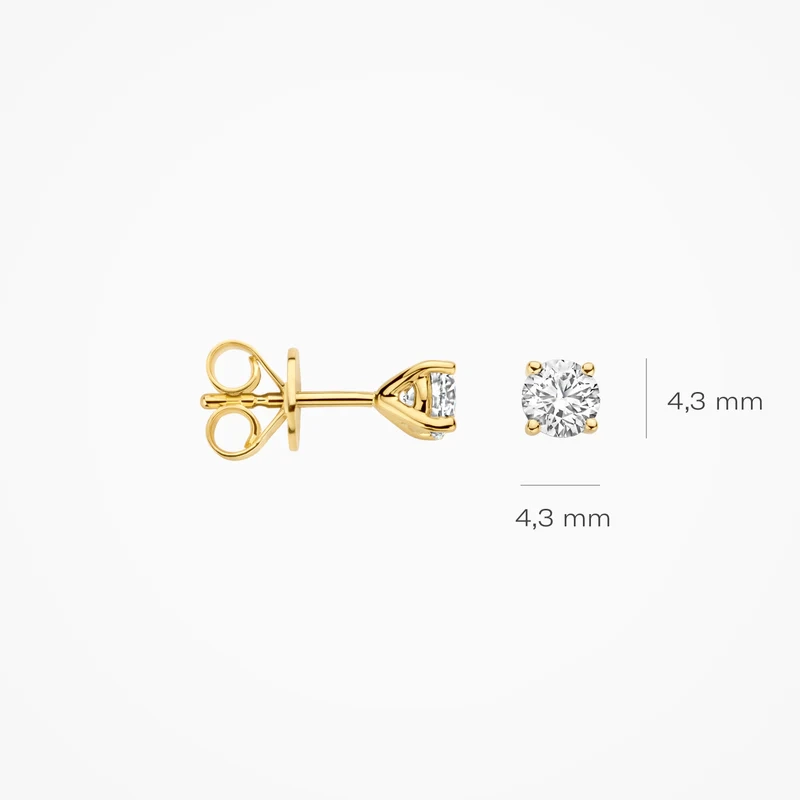 Earring / LG7002Y