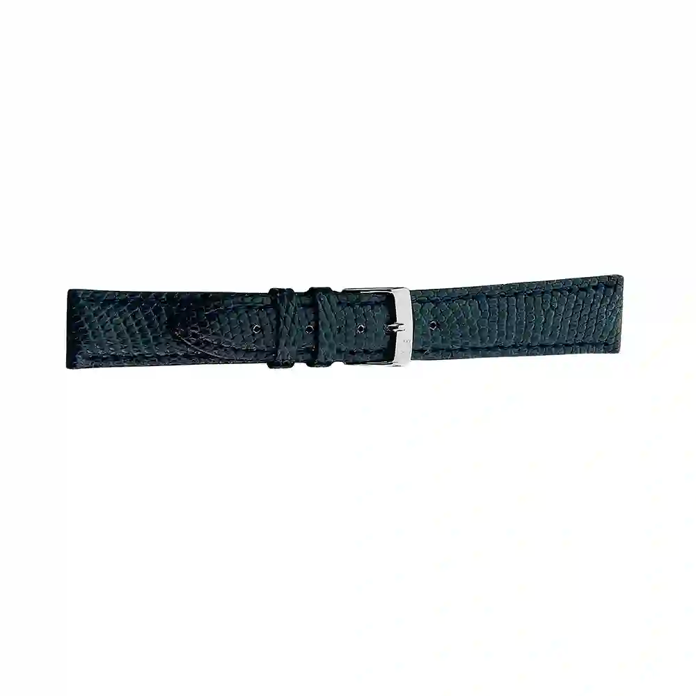Watch strap/A01X2053372060CR16