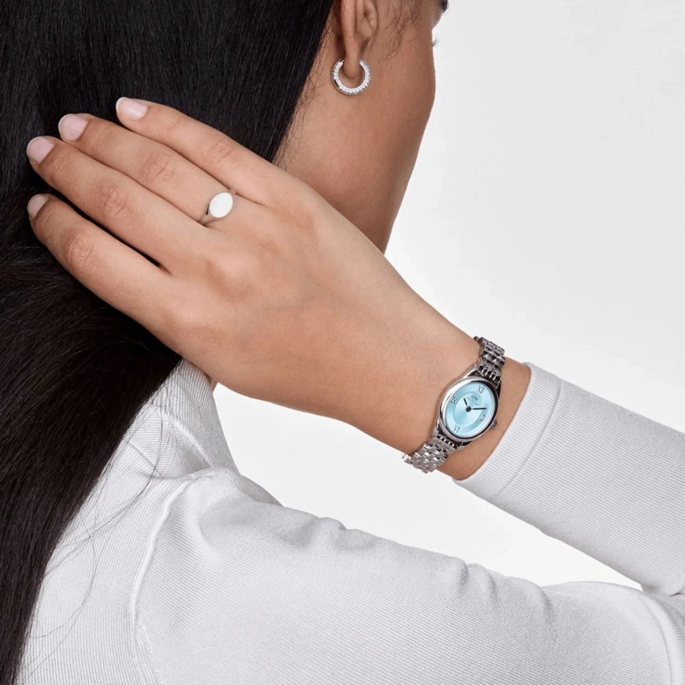 Quartz Wristwatch / DW00100809