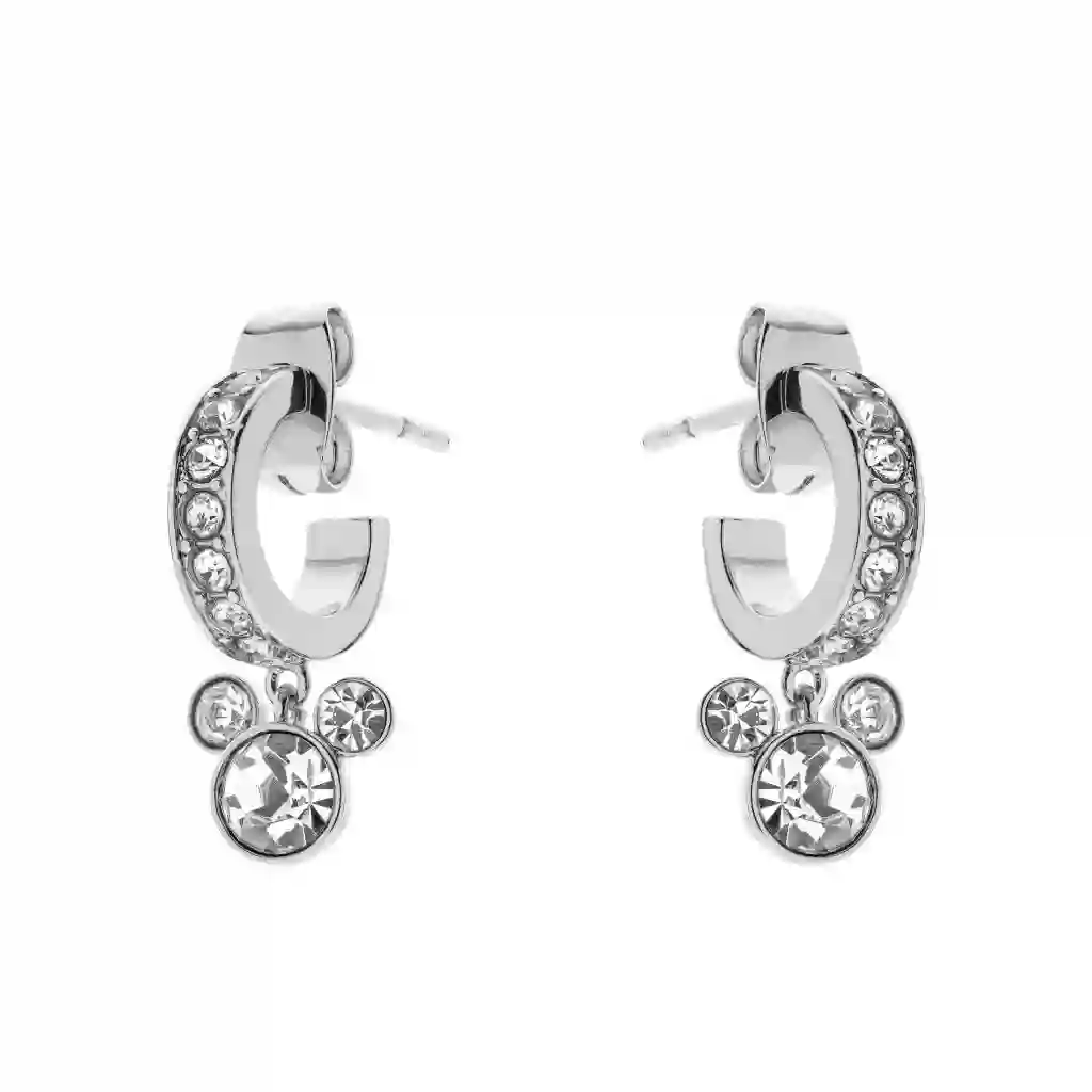 Earring/ES00039RRWL