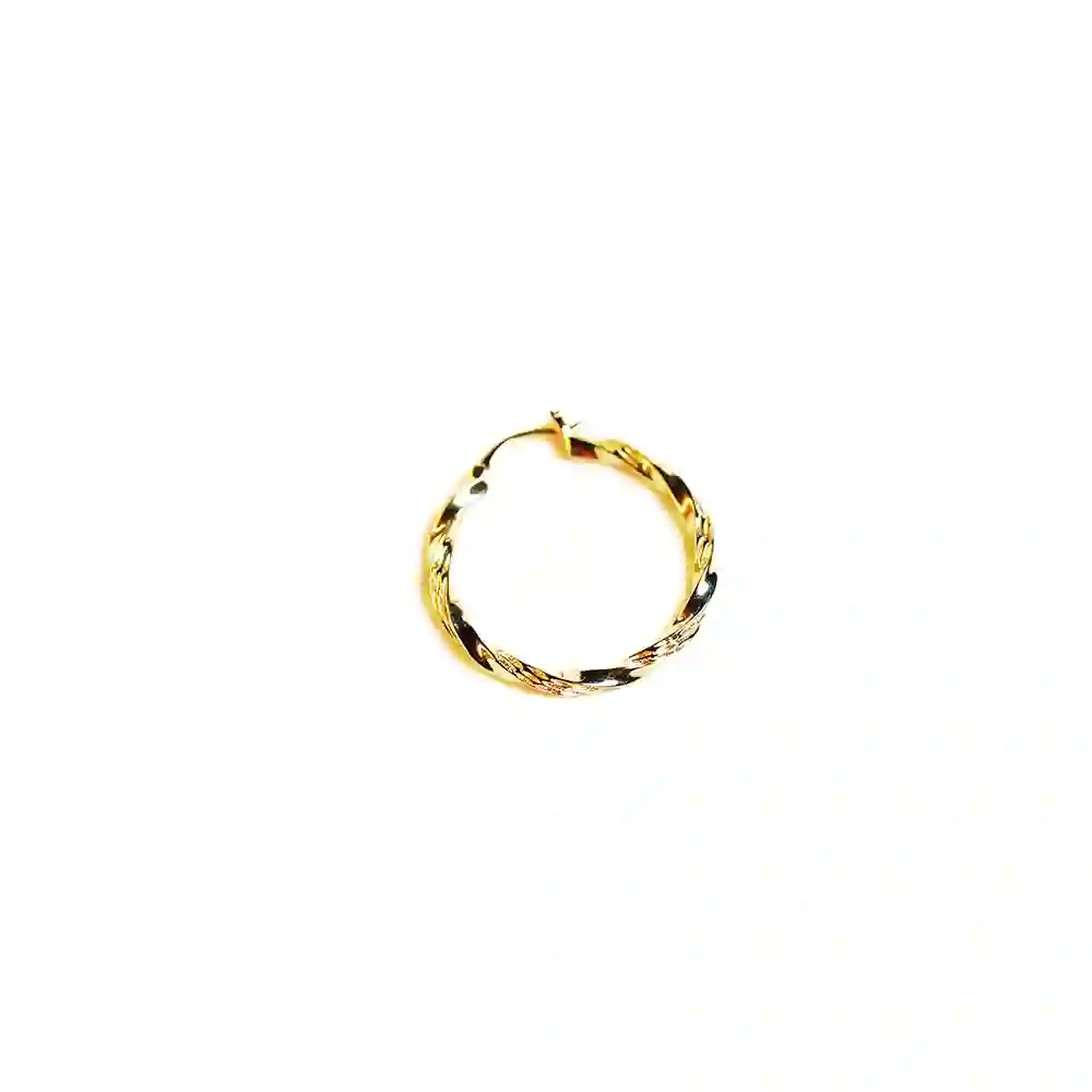Single Earring / 2626700
