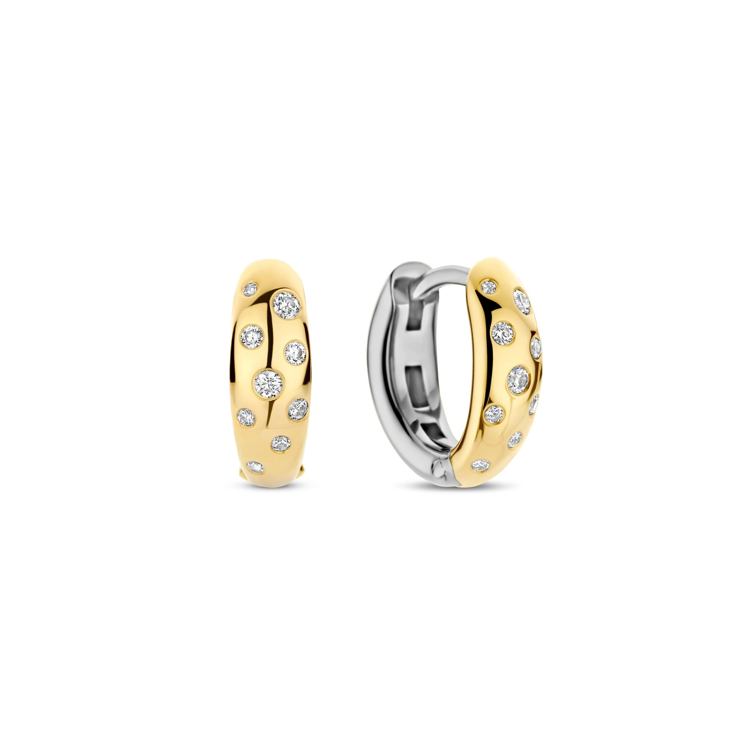 Earring / 78006ZY