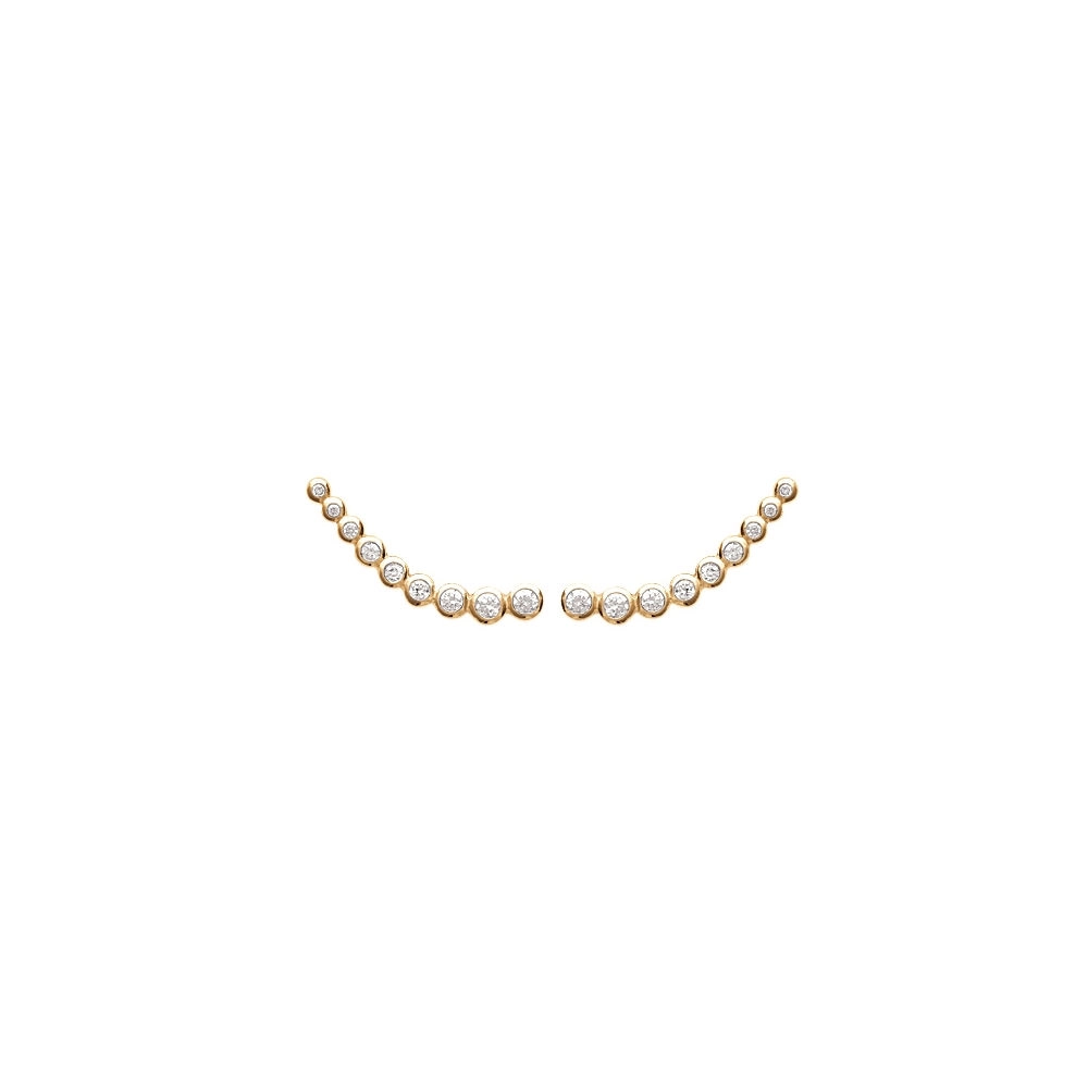 Earring/2514910