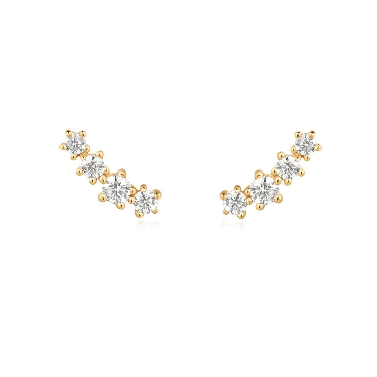 Ania Haie Earring / E056-02G