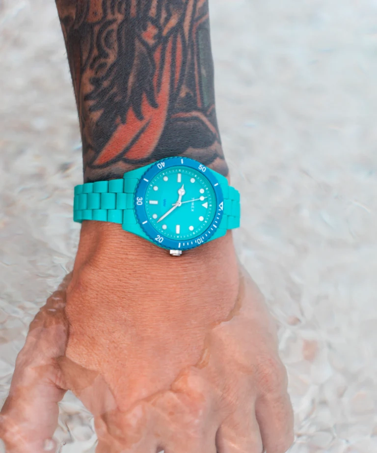 Quartz Wristwatch / TW2Y04700