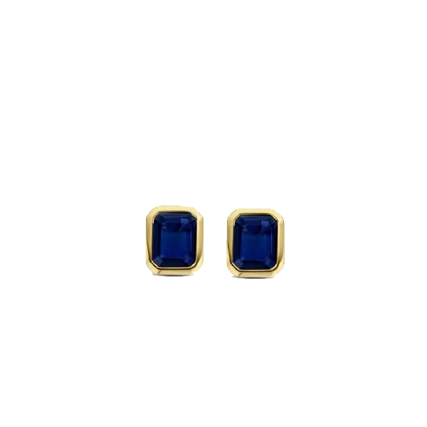 Earring/7893BY