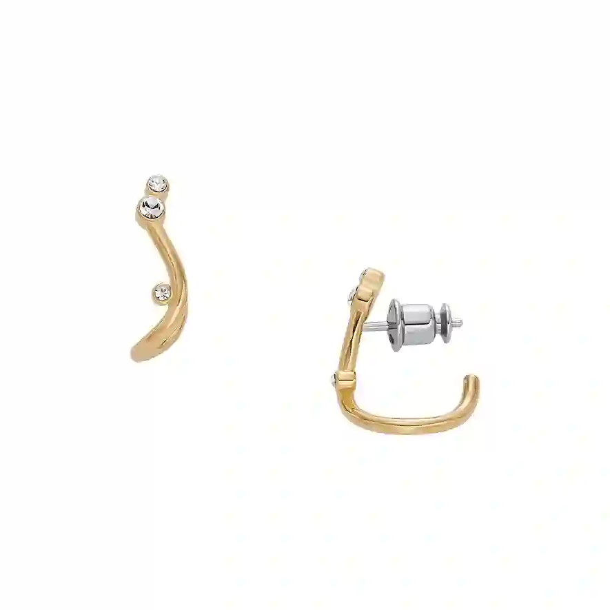 Skagen Stainless Steel Earring/SKJ1760710