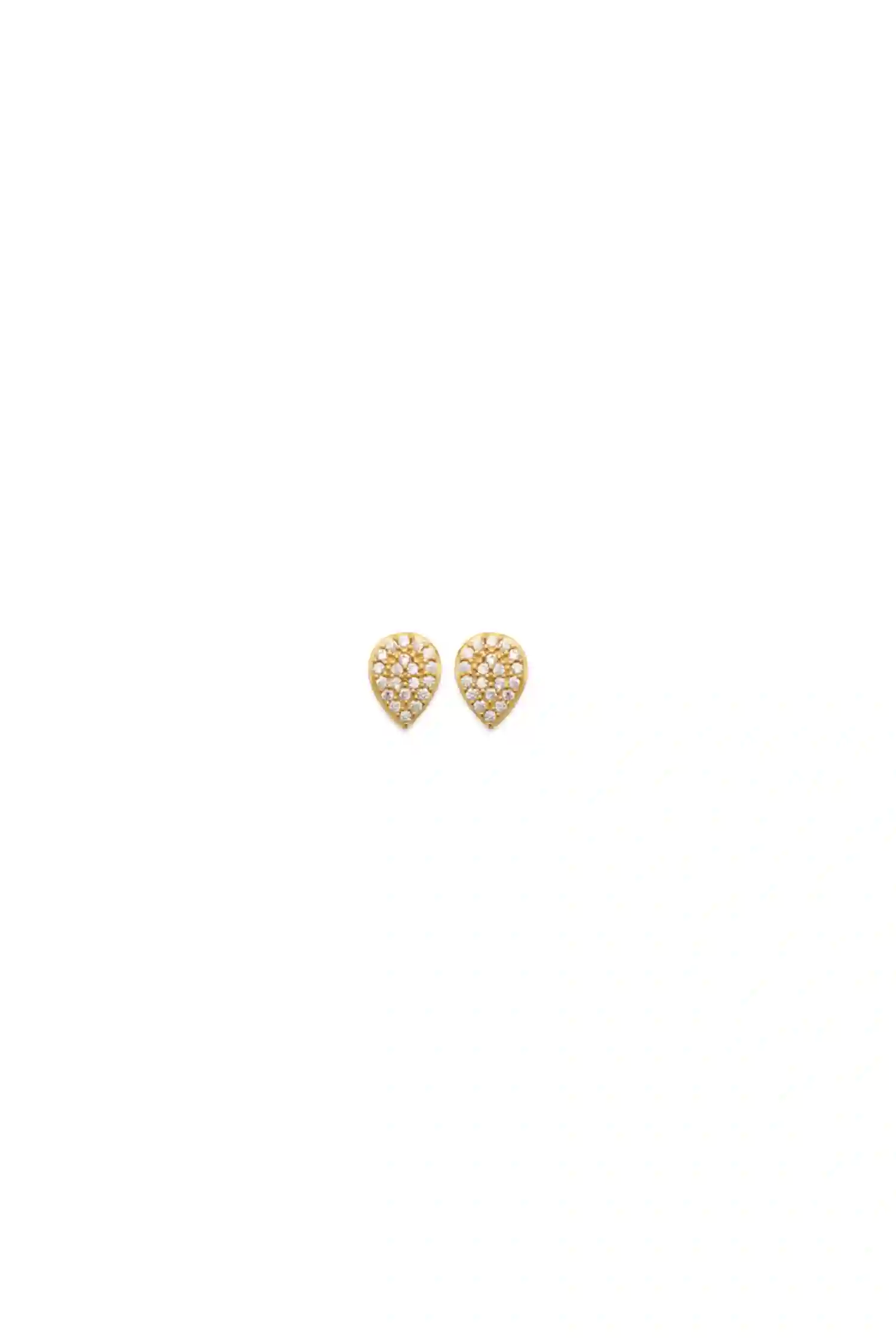 Earring/2570810