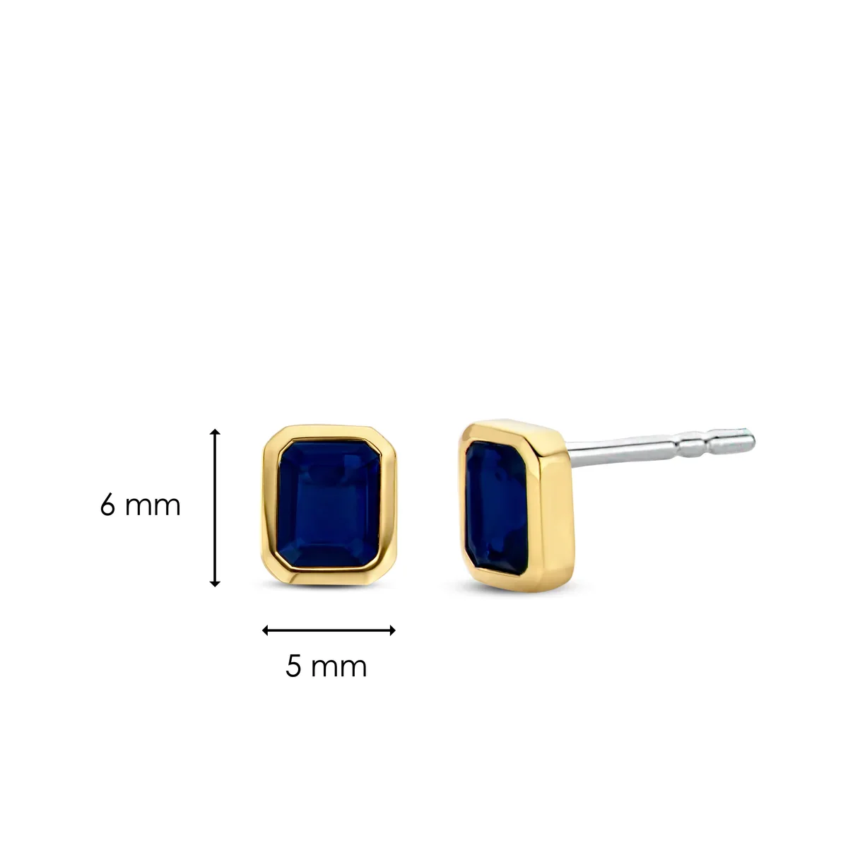 Earring/7893BY