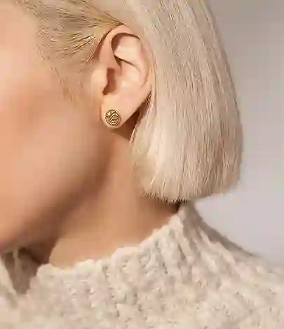 Skagen Stainless Steel Earring/SKJ1761710