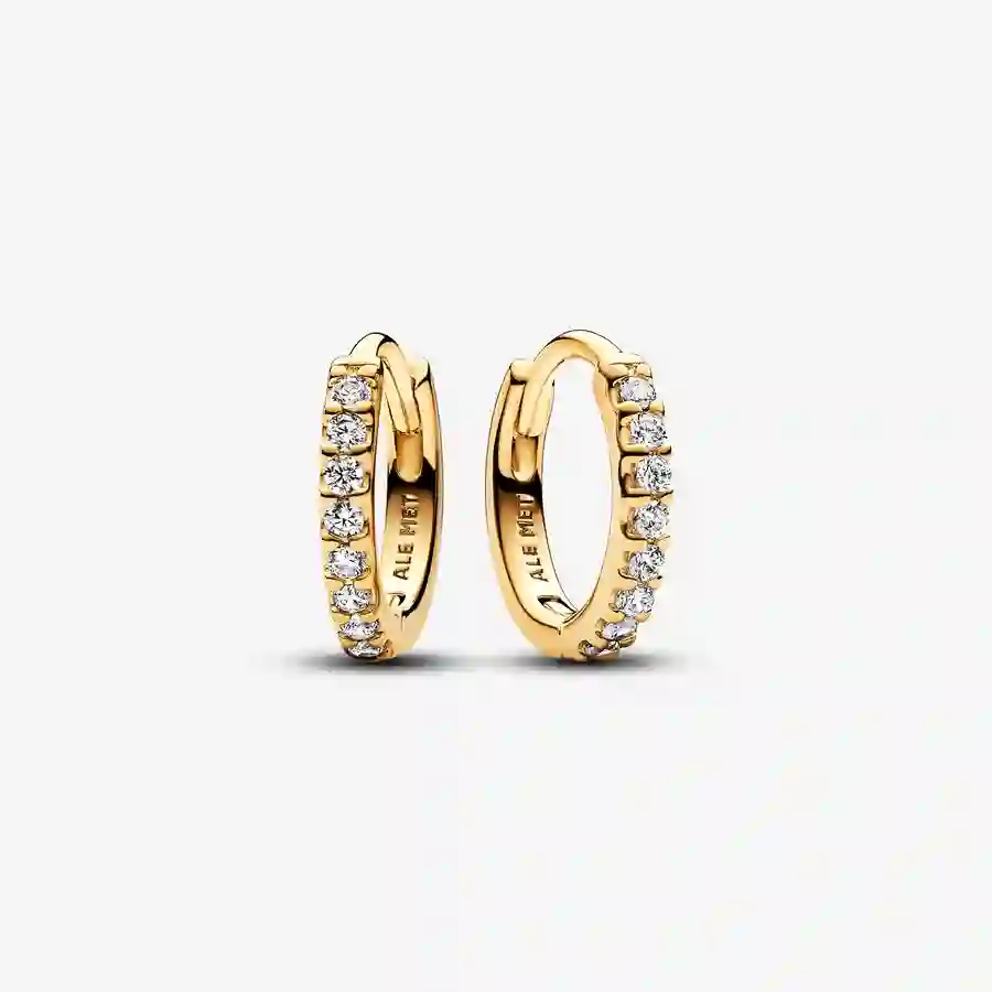 Earring/263015C01