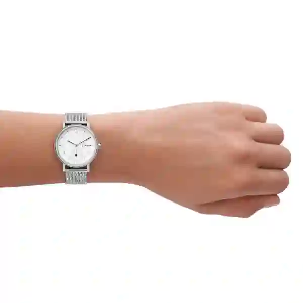 Skagen Quartz Wristwatch Women/SKW3100