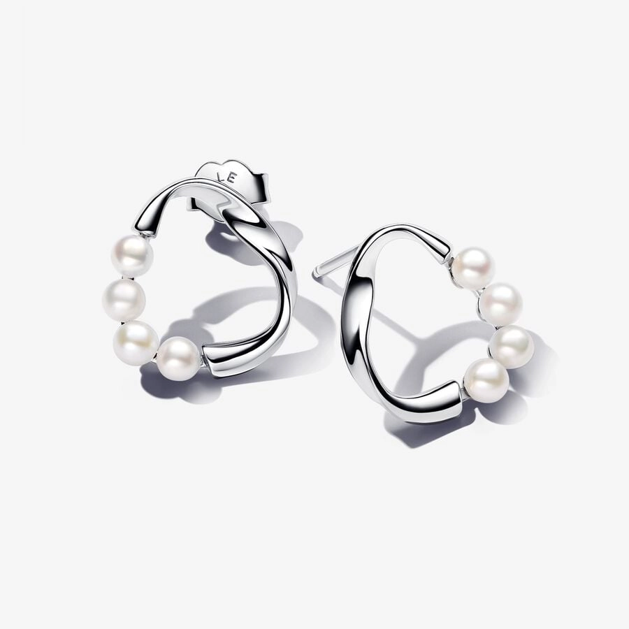 PANDORA Sterling Silver Earring / 293276C01