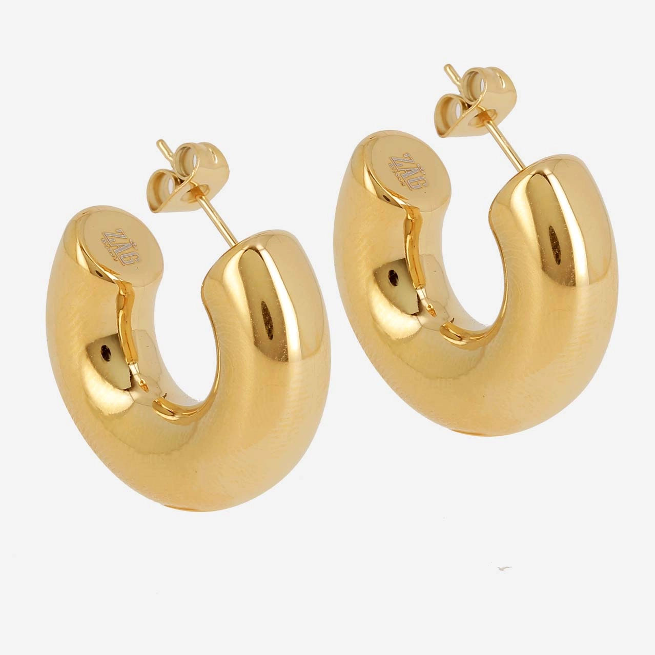 Zag Bijoux Surgical Stainless Steel Earring / SEC21313-01UNI8X25