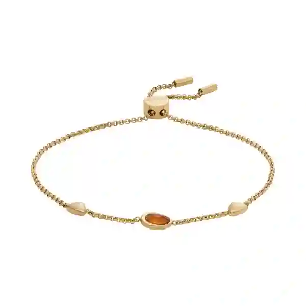 Skagen Stainless Steel Bracelet/SKJ1738710
