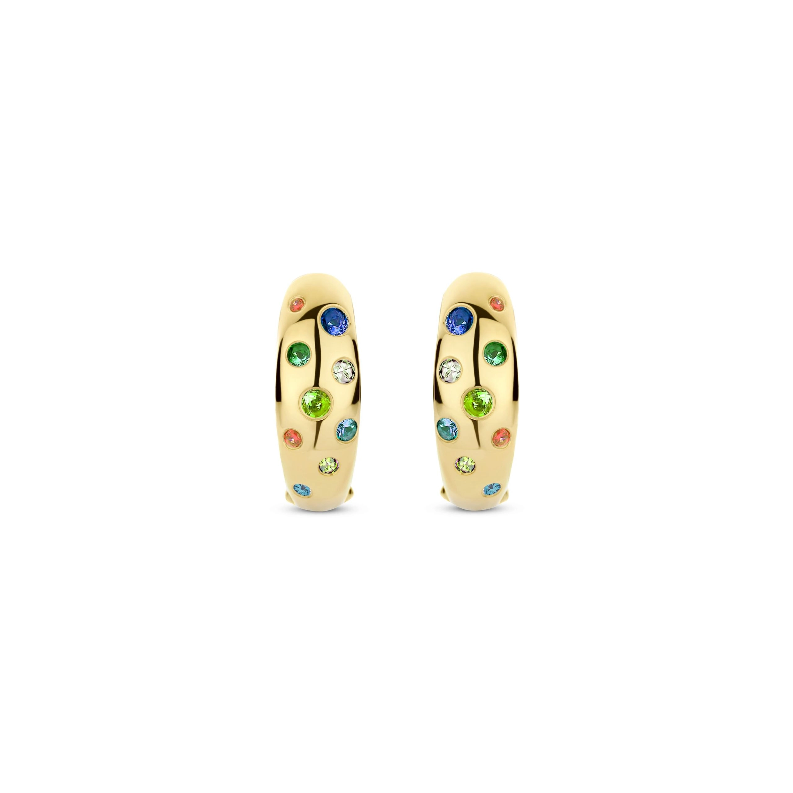 Earring / 78006MC