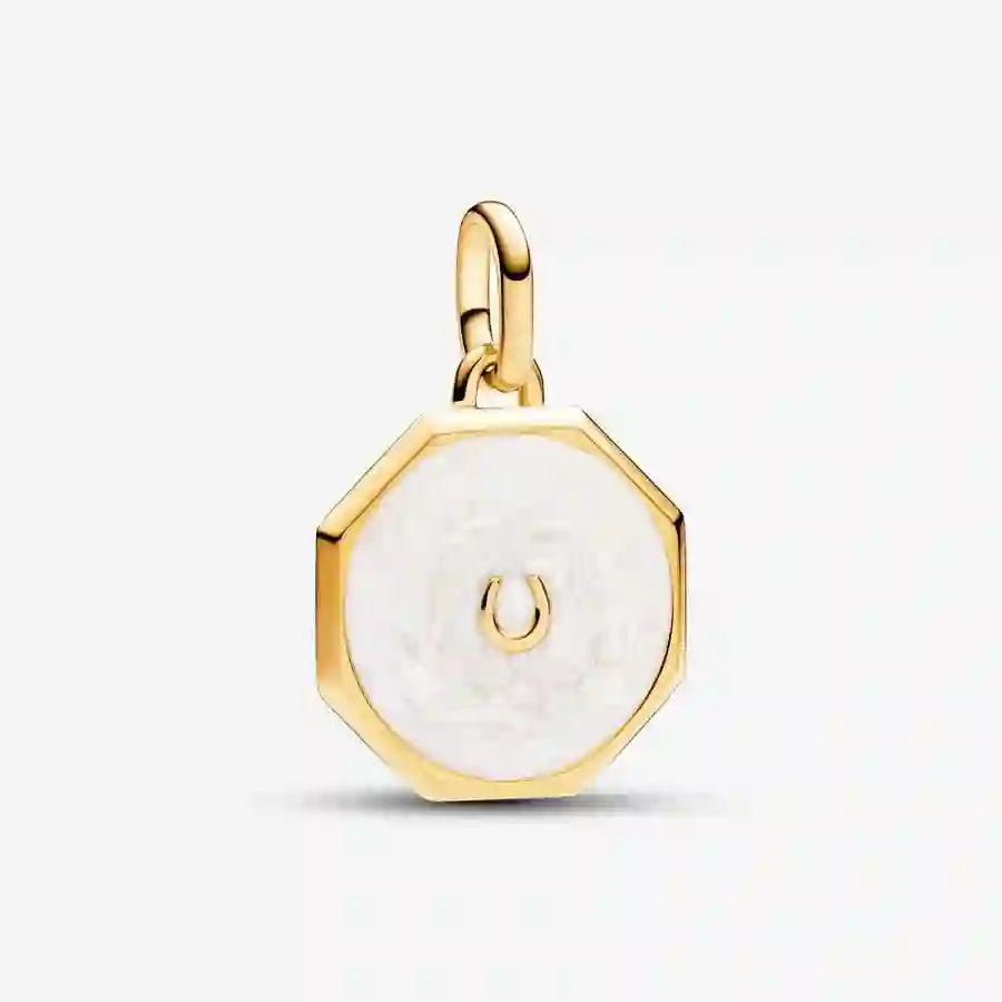 Charm/763047C01
