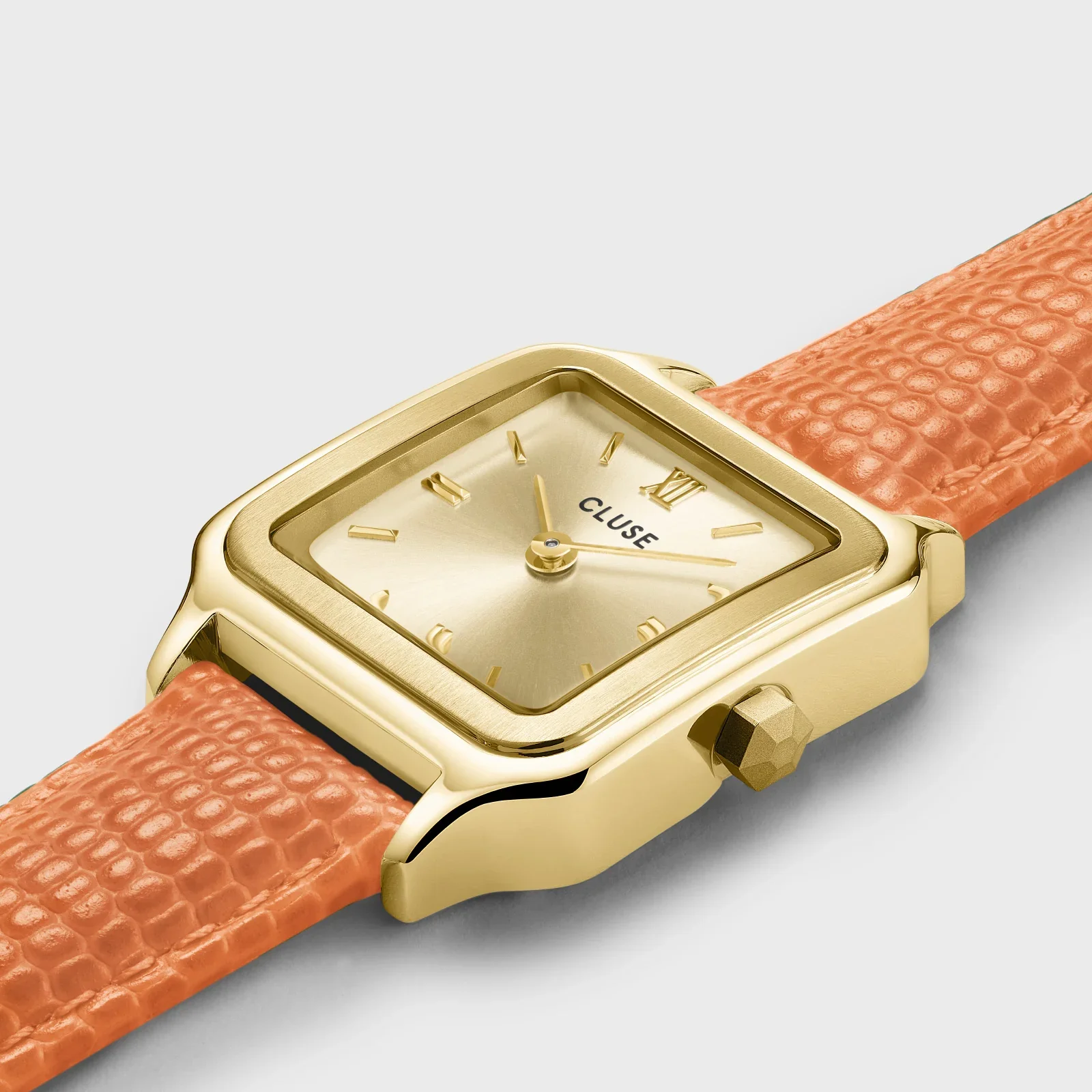 Cluse Quartz Watch Women/CW11808