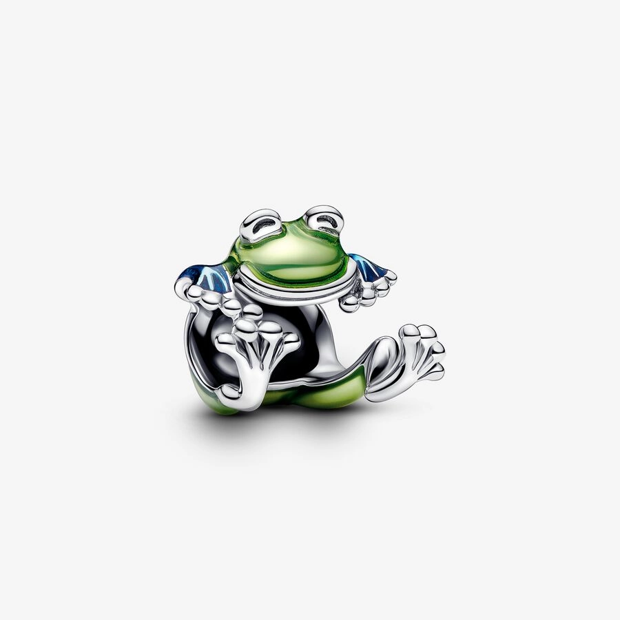 PANDORA Sterling Silver Charm / 793342C01