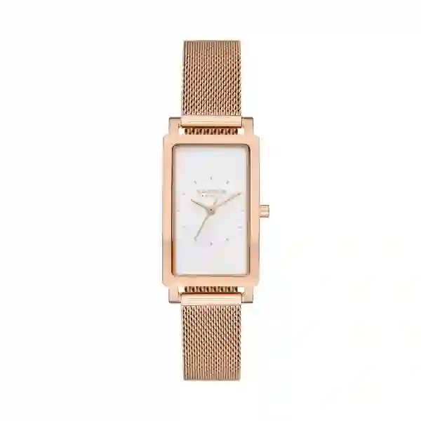 Skagen Quartz Wristwatch Women/SKW3095