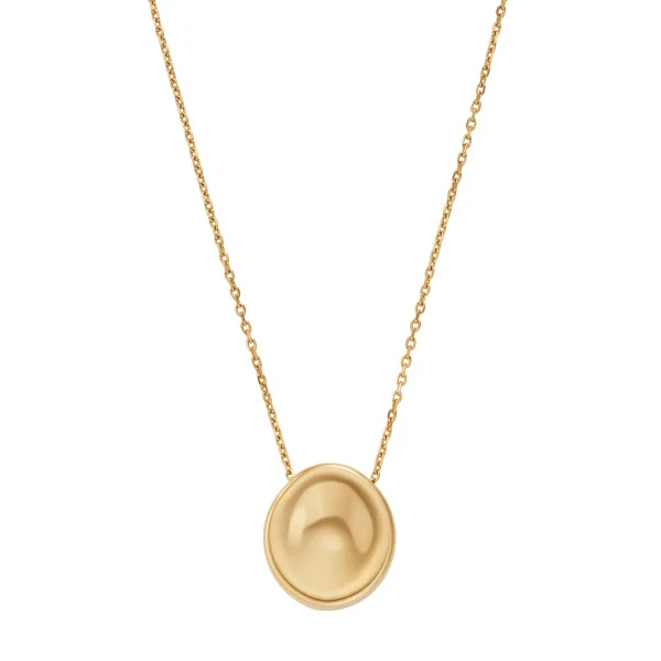 Skagen Stainless Steel Necklace/SKJ1750710