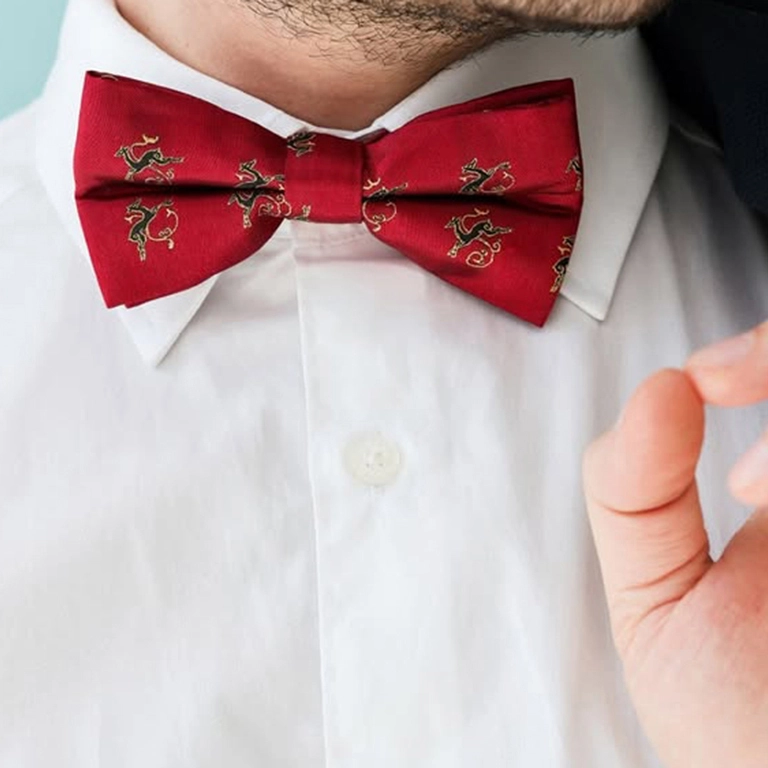Bow Tie / 10-BTIE-SLK-11-08