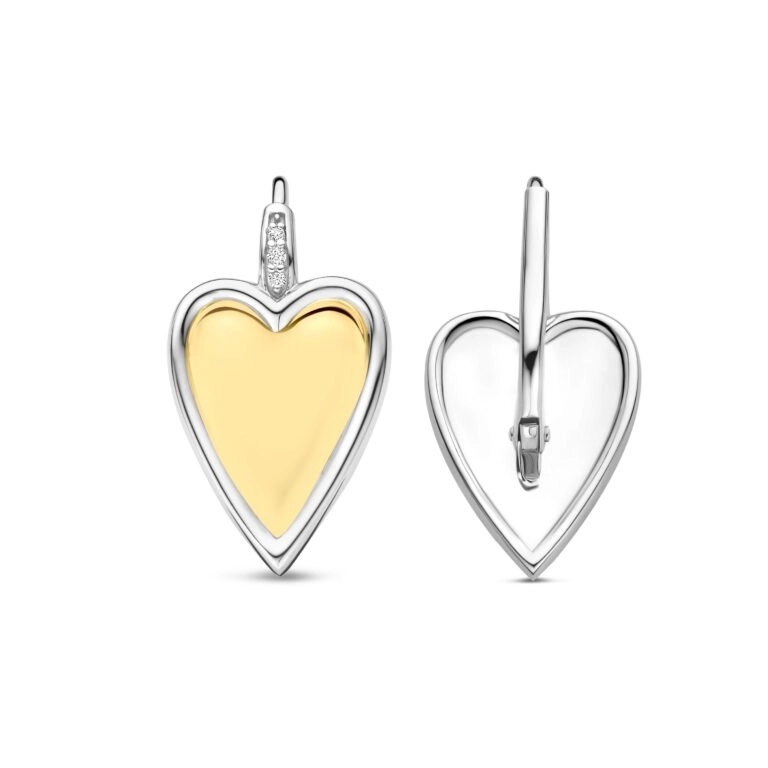 Earring / 78004ZY