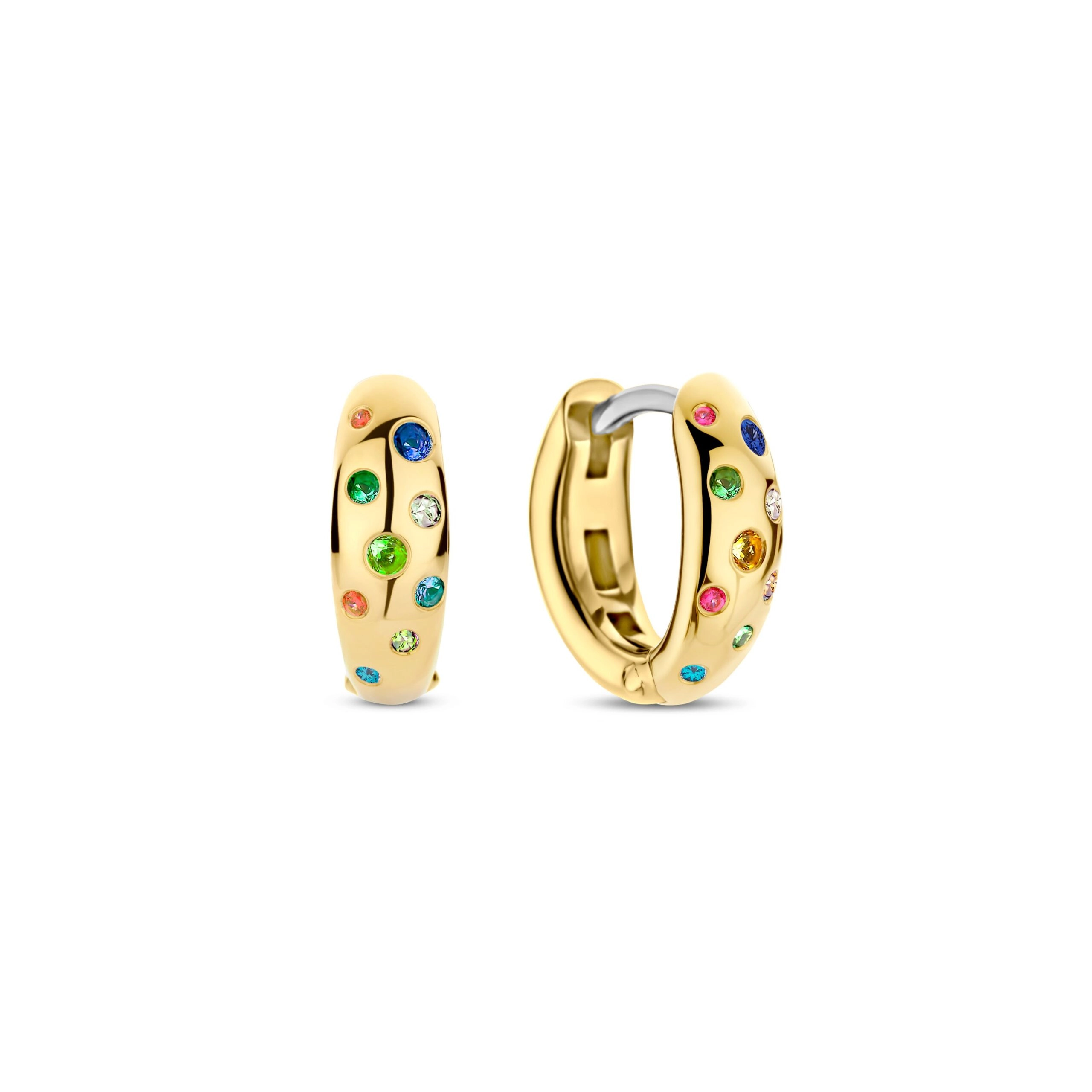 Earring / 78006MC