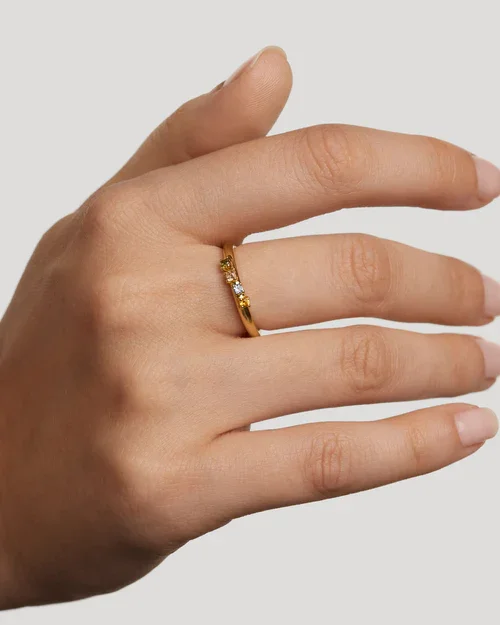 Ring/AN01-C10-14