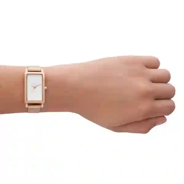 Skagen Quartz Wristwatch Women/SKW3095